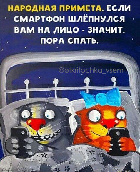 _ ЕСЛИ СМАРТФОН ШЛЕПНУЛСЯ ВАМ НА ЛИЦО ЗНАЧИТ ПОРА СПАТЬ