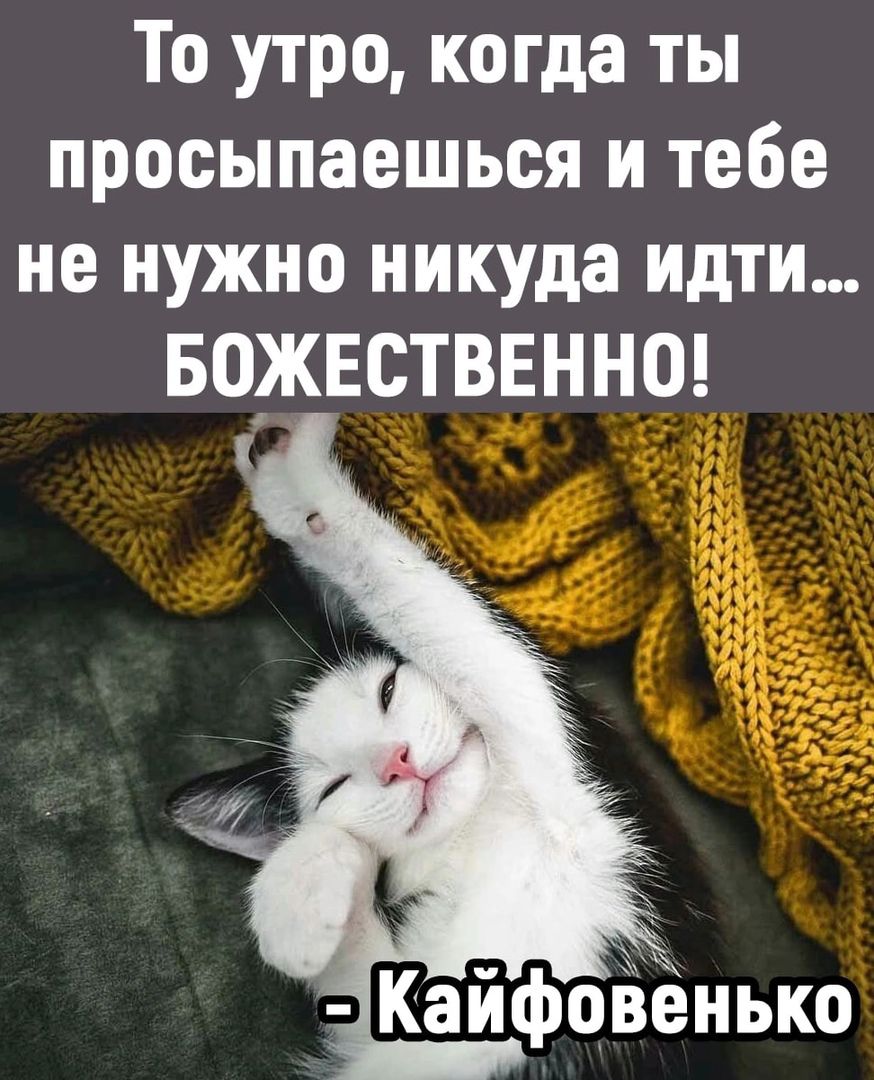 То утро когда ты просыпаешься и тебе не нужно никуда идти БОЖЕСТВЕННО Кайфоёёнько