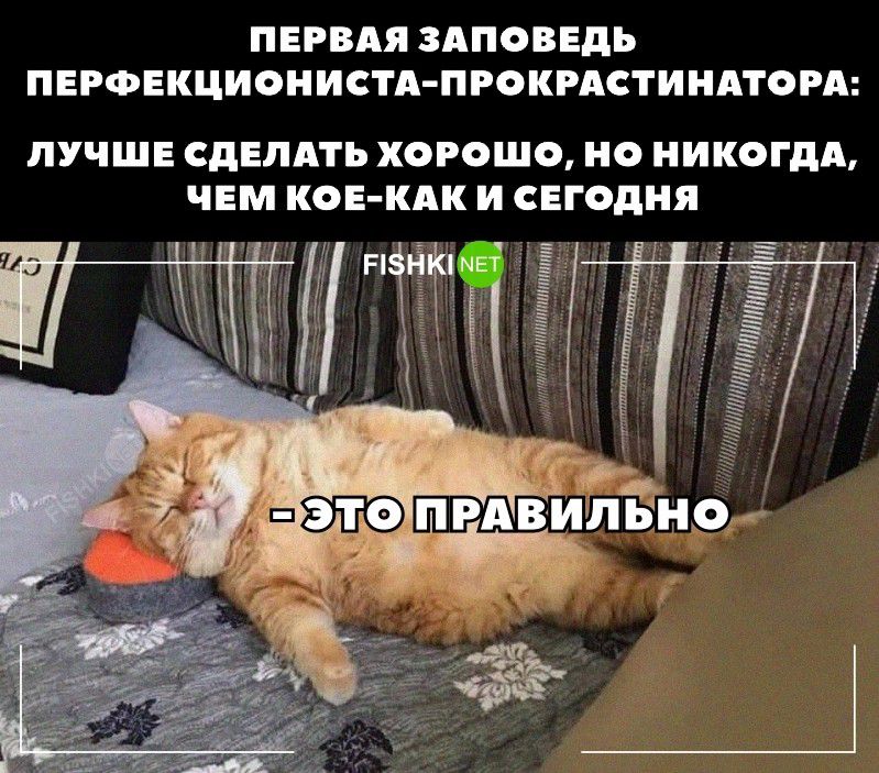 ПЕРВАЯ ЗАПОВЕПЬ ПЕРФЕКЦИОНИСТд ПРОКРАСТИНАГОРА ЛУЧШЕ СДЕЛАТЬ ХОРОШО Н НИКОГДА ЧЕМ КОЕ КАК И СЕГЩНП