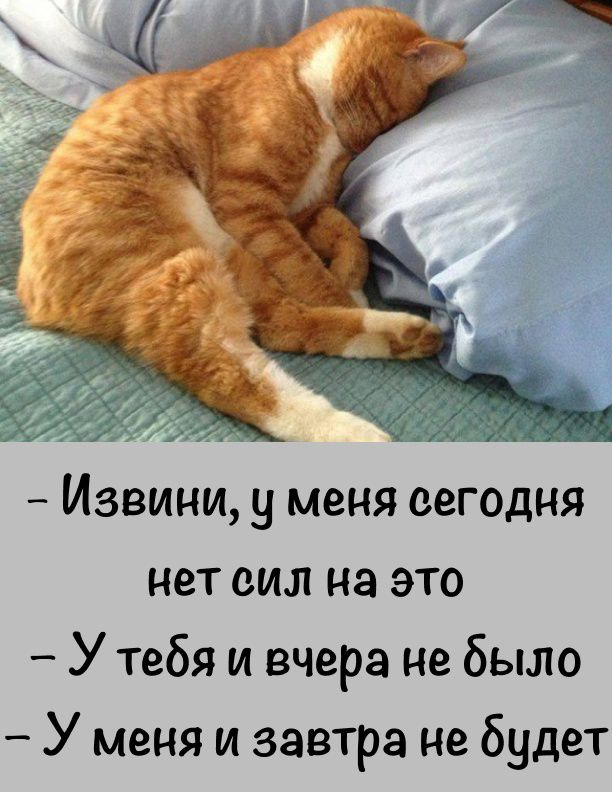 Извини у меня сегодня нет сил на это У тебя и вчера не было У меня и завтра не будет