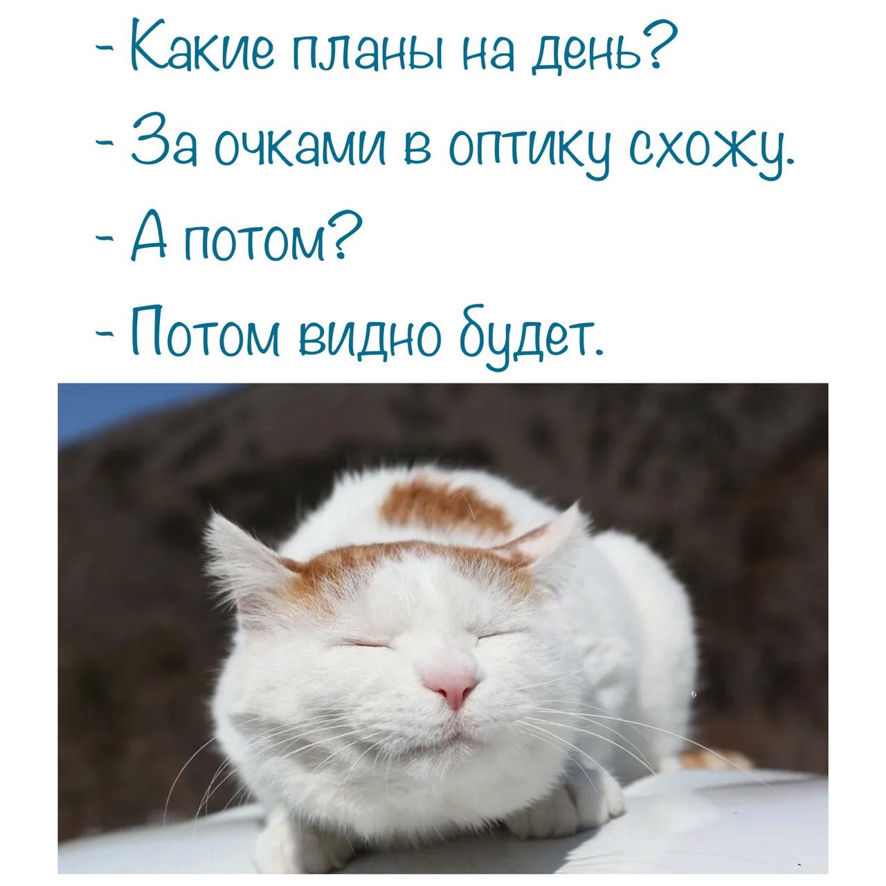 Какие планы на День За очками оптику схожу А потом Потом видно будет