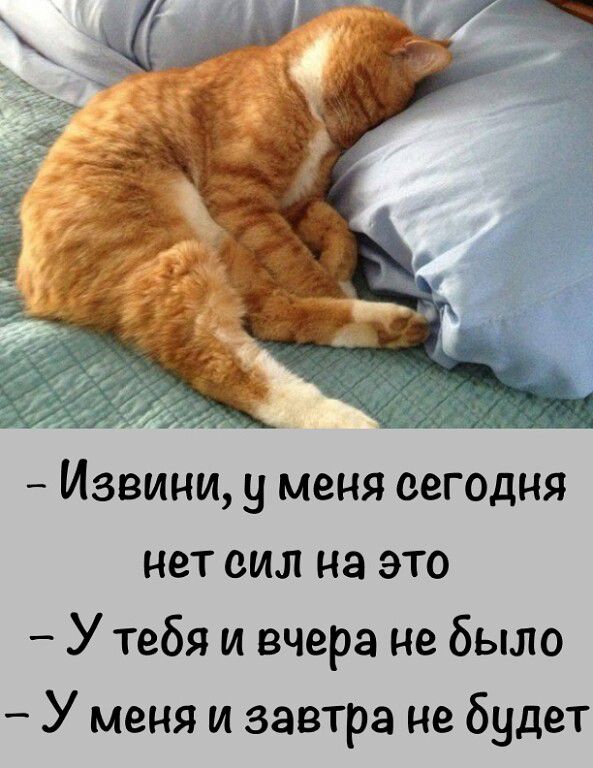 Извини у меня сегодня нет сил на это У тебя и вчера не было У меня и завтра не будет