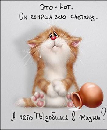 Это Р от Ок ширм Био смет О етоТЫдоЁцц Мидии