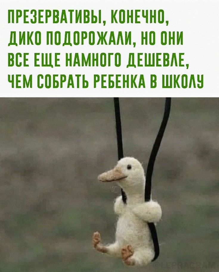 ПРЕЗЕРВАТИВЫ КВНЕЧНВ дИКВ ПВДВРВЖМИ НВ ВНИ ВСЕ ЕЩЕ НАМНШВ дЕШЕВАЕ ЧЕМ ВВБРАТЪ РЕБЕНКА В ШКПАН