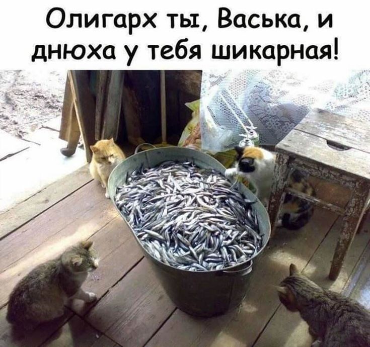 Олигарх ть1 Васька и днюха у тебя шикарная