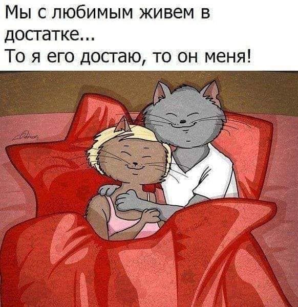 Мы с любимым живем в достатке То я его досгаю то он меня