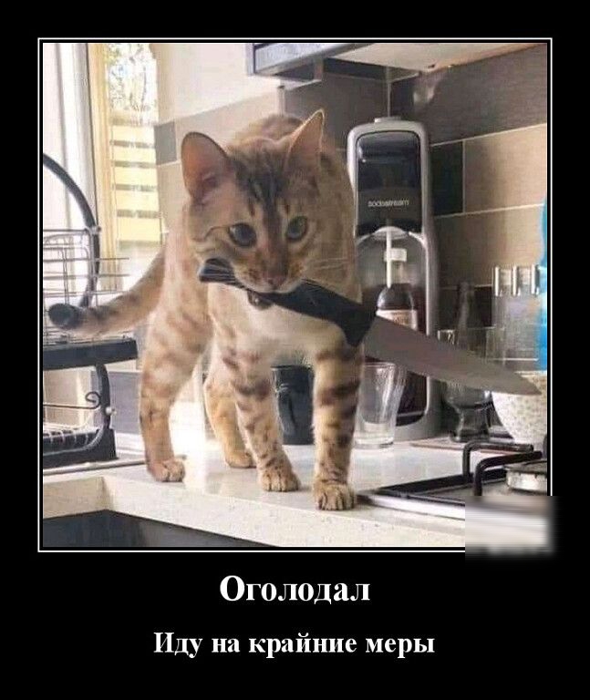 Оголодал ПЦ на крайние меры