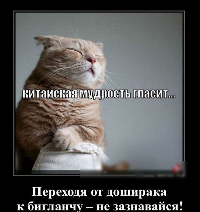 Переходя от доширака к бигланчу не зазнавайся