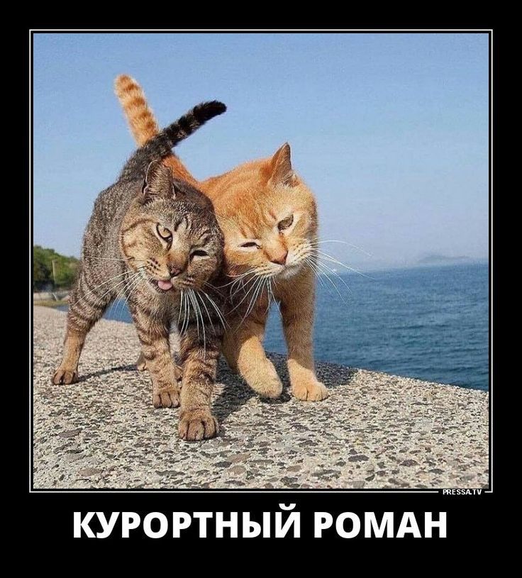 КУРОРТНЫЙ РОМАН