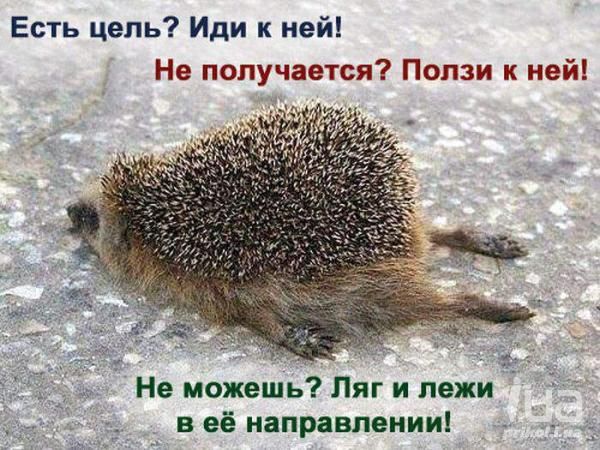 Есть цепь Иди к ней Не получается Попзи к ней Не можешь Ляг и пежи в её направлении
