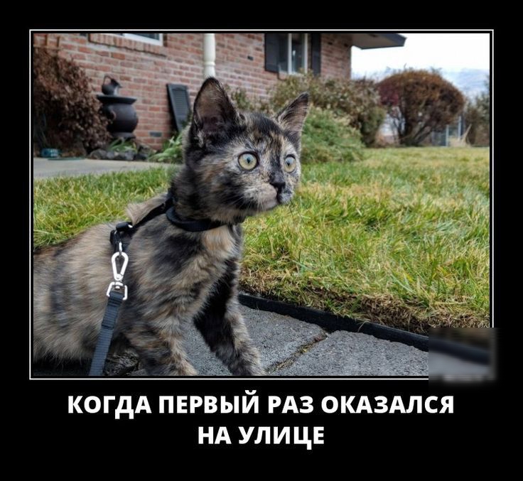 когдА первый из окдзмся нд улице