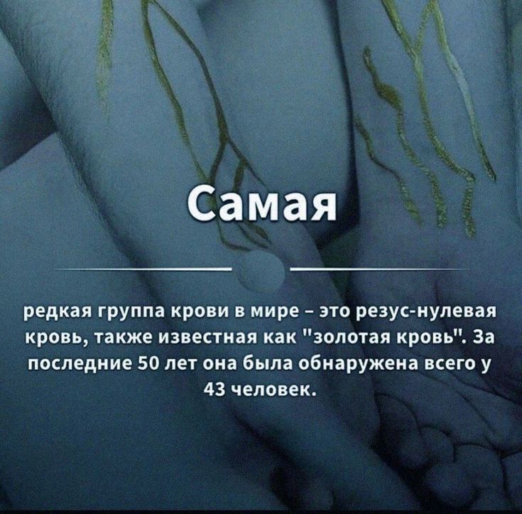Самая редкая группа крови в мире это резус нулевая кровь также известная как зопыая кровь 32 последние 50 лет она была обнаружеиа всего у 13 человек