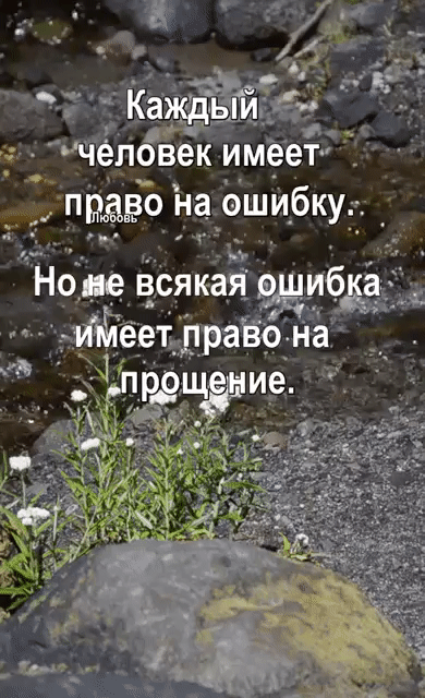 в _ ___ БЁС 3кь на д _г _Чел_іовек имеег прдво На_ошибкуі _
