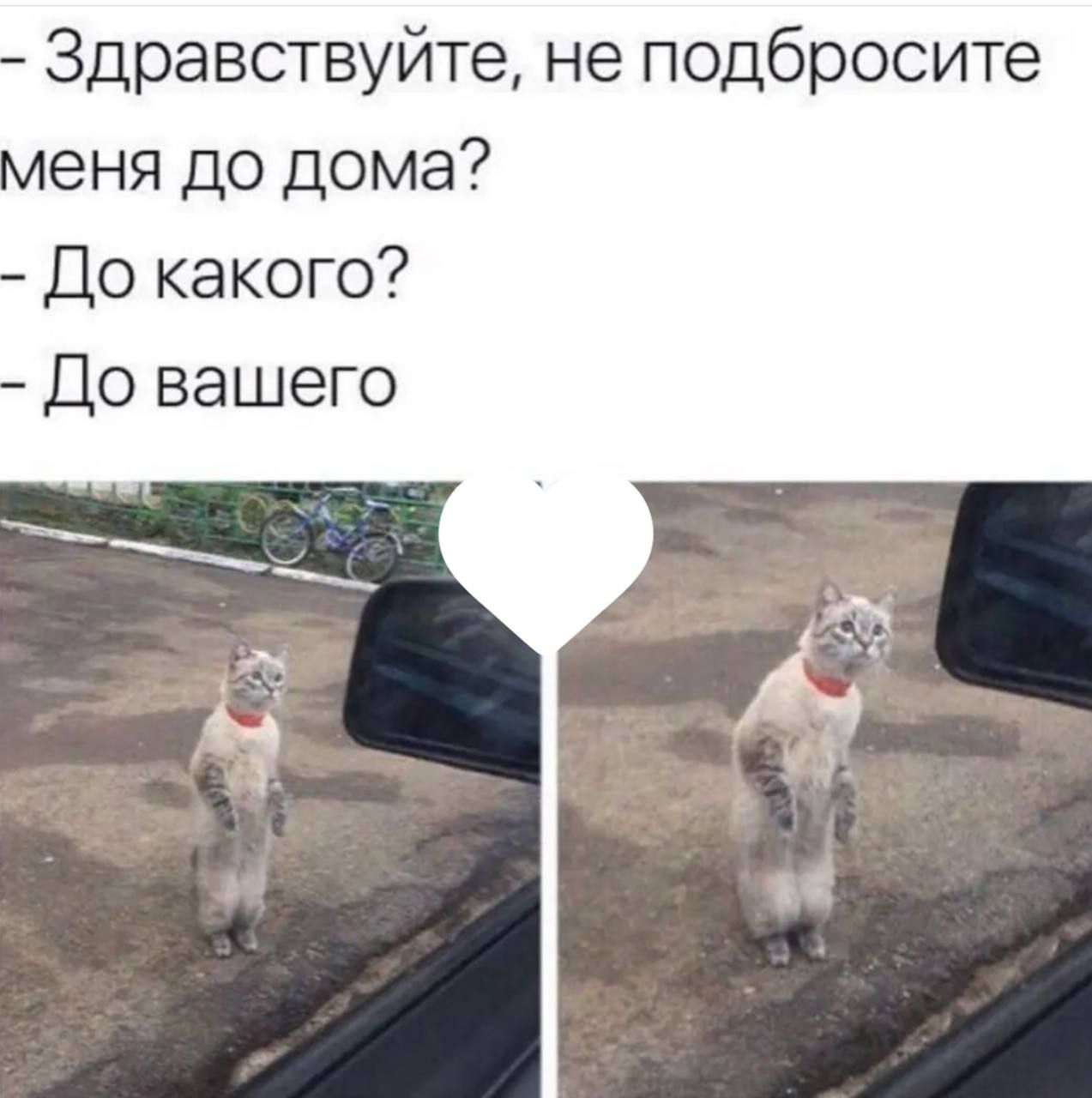 Здравствуйте не подбросите еня до дома До какого До вашего