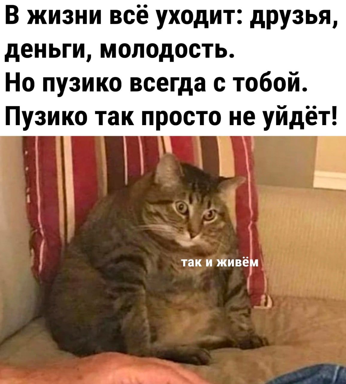 В жизни всё уходит друзья деньги молодость Но пузико всегда с тобой Пузико так просто не уйдёт і 1 ак и живёи