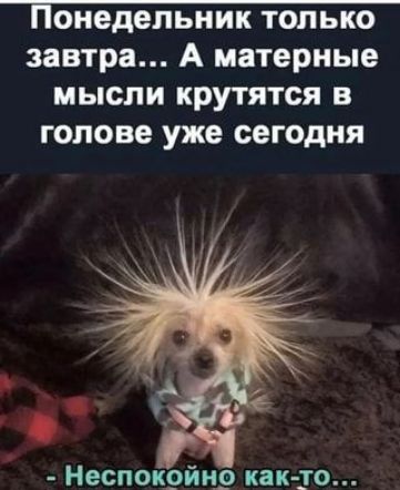 понедельник ТОЛЬКО завтра А матерные мысли крутятся в голове уже сегодня Неспокрйнр как дю