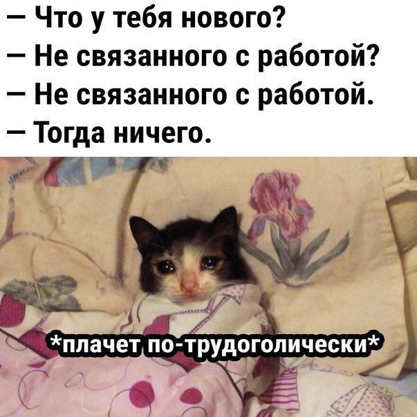 Что у тебя нового Не связанного с работой Не связанного с работой Тогда ничего ИЩ то 3