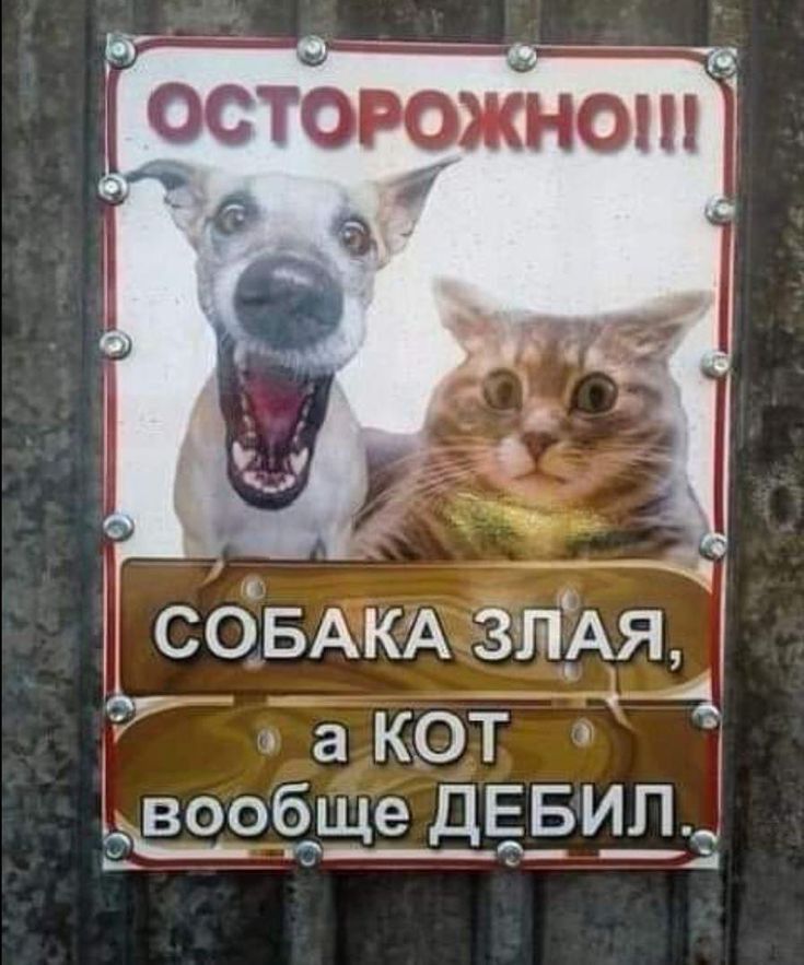 Р 77 4Ь В осторожно 4 сбвАКАзпАя акот ё__э_сі_5_ще ДЕБИП 5__