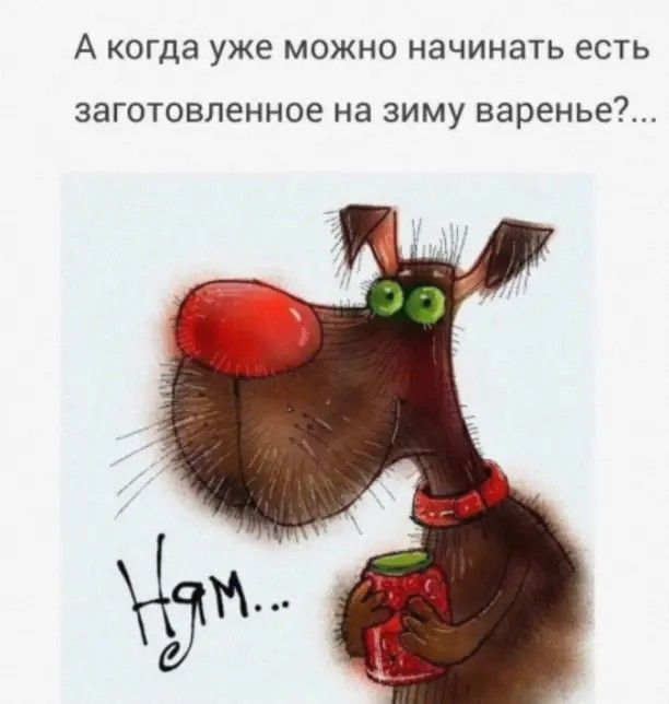 А КОГДЭ уже МОЖНО НЗЧИНЗТЬ ЕСТЬ ЗЗГОТОВЛЕННОЕ на ЗИМУ варенье