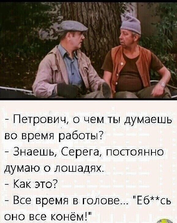 Петрович о чем ты думаешь во время работы Знаешь Серега постоянно думаю о лошадях Как это Все время в голове Ебсь оно все конём