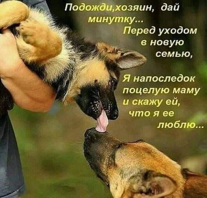в новую семью Я напоследок поцелую маму іскажу ей что я ее любл