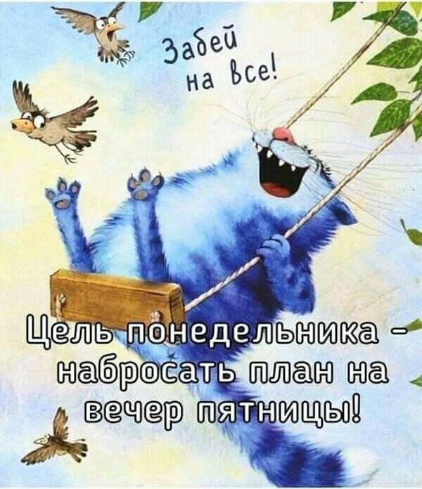 шабцфать пищат вьщсёцф юшщыд