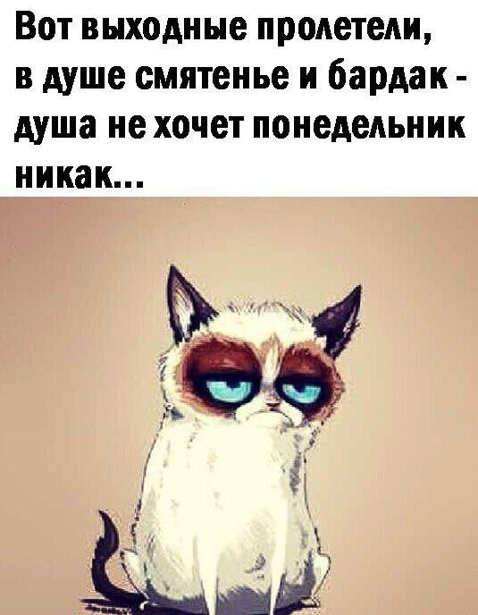 Вот выходные пролетели в душе смятенье и бардак душа не хочет понедельник никак тестю чзет