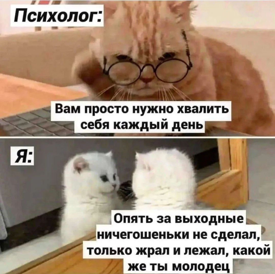 Опять за выхидиые ничегошеньки не сделал только щит и пежап какой же ты молодец