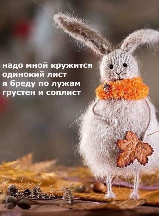 надо мной кружится одинокий лисг 7 по лужам груши и соплист