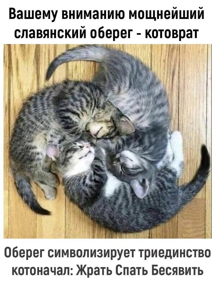 Вашему вниманию мощнейший славянский оберег котпврат Оберег символизирует триеди нство кетоначал Жрать Спать Бесявить