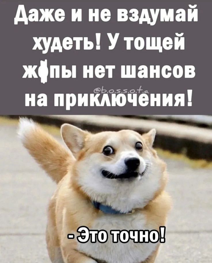 даже и не вздумай худеть У тощей жіпы нет шансов 5470 0 на приключения