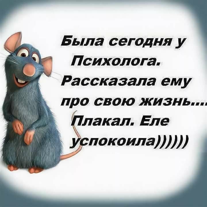 Была сегодня у Психолога Рассказала ему про свою жизнь лакал Еле испокоилаууу