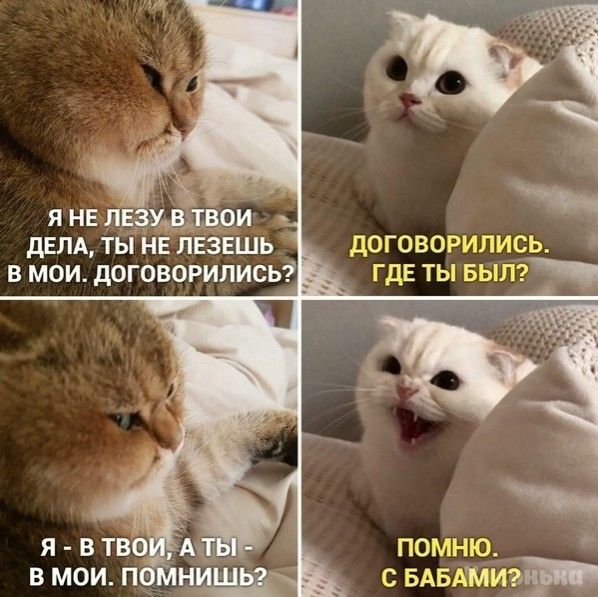 двлд ты нЕ ПЕЗЕШЬ договорились в мои договорились ГДЕ ты Быд_ я не лезушви нд ВМОИП1Н