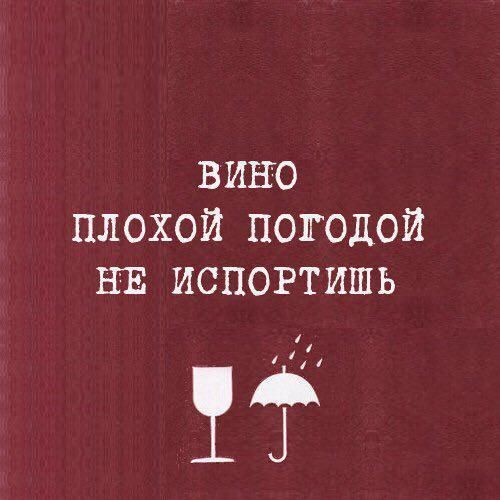 ВИНО ПЛОХОЙ ПОГОДОЙ НЕ ИСПОРТИШЬ И