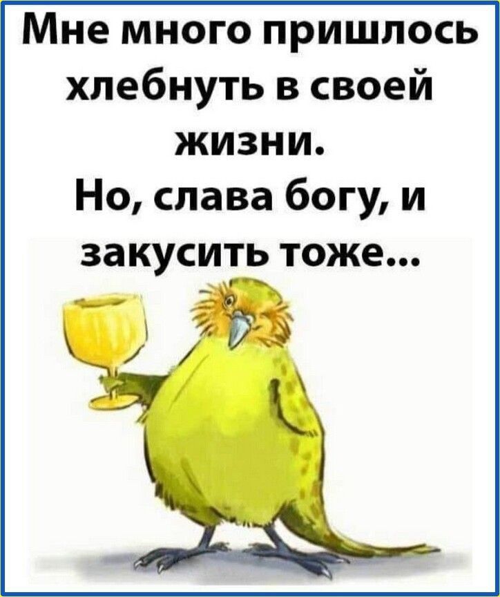 Мне много пришлось хлебнуть в своей жизни Но слава богу и закусить тоже