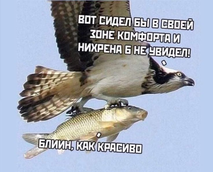 _а К _ 1 11 кпдвивп