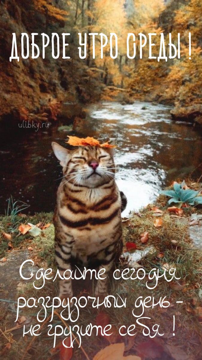 джщыы ие Рздшпе иё