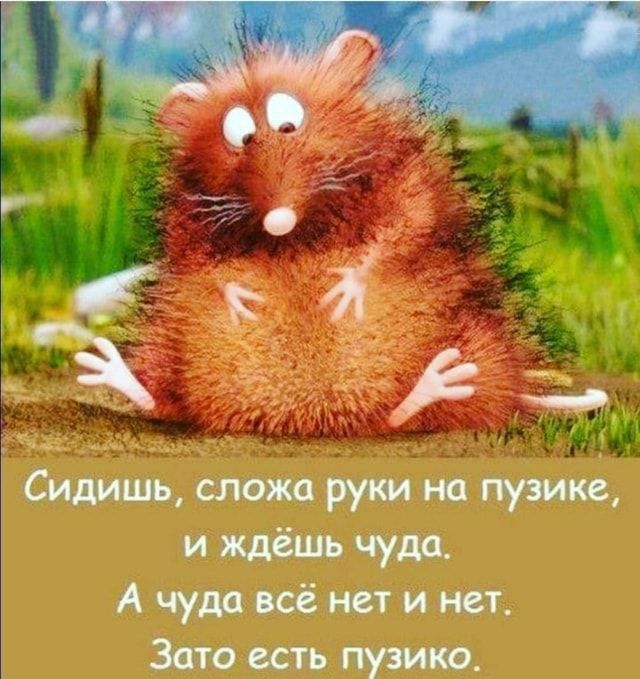 _ 11 шоипрумтпуж иждёшьчуде Ачумвсёистинет Затоптьпут