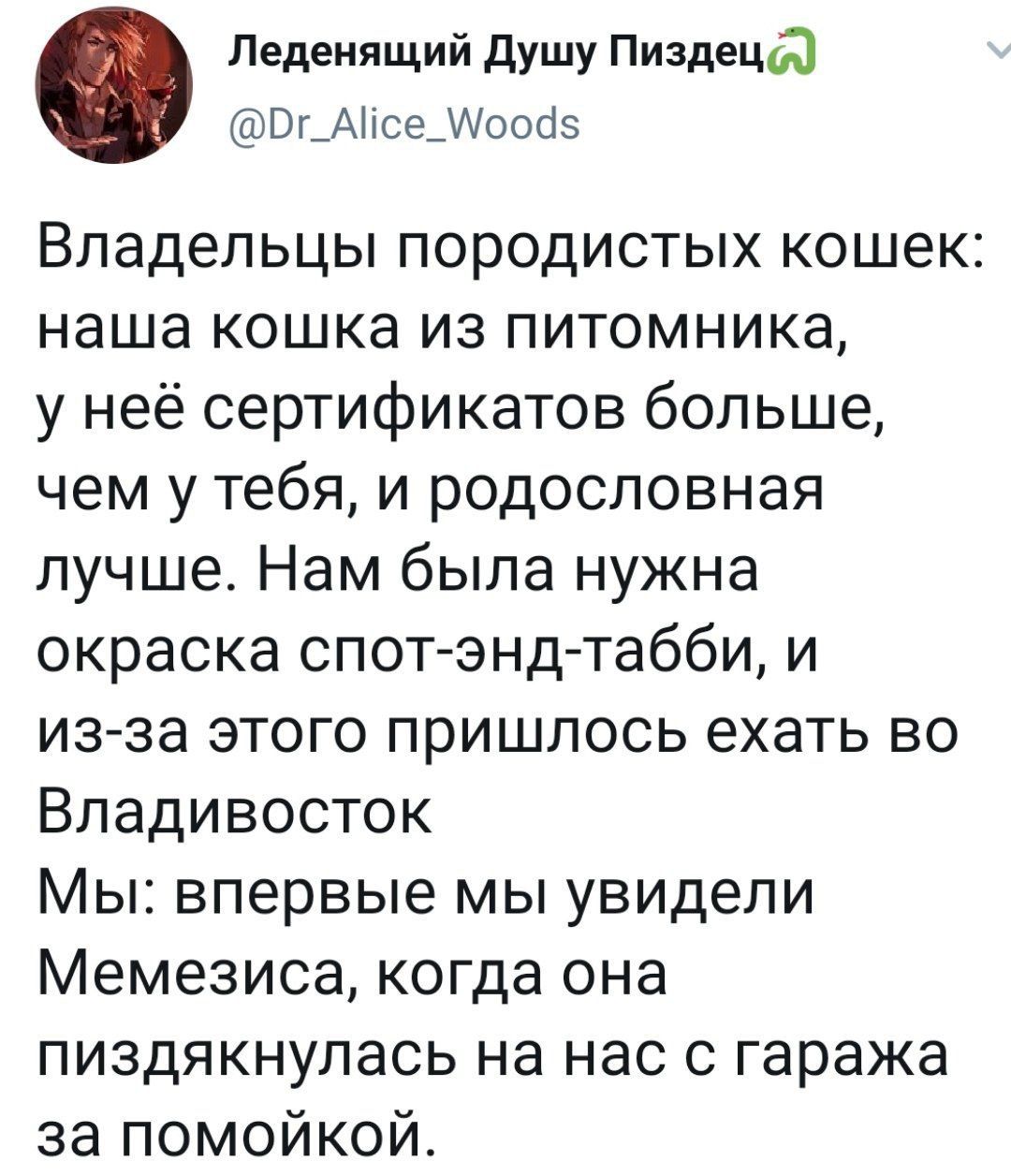 Педеиящий душу Пиздеца Вг_АМсе_оооз Владельцы породистых кошек наша кошка из питомника у неё сертификатов больше чем у тебя и родословная лучше Нам была нужна окраска спот энд табби и изза этого пришлось ехать во Владивосток Мы впервые мы увидели Мемезиса когда она пиздякнулась на нас с гаража за помойкой