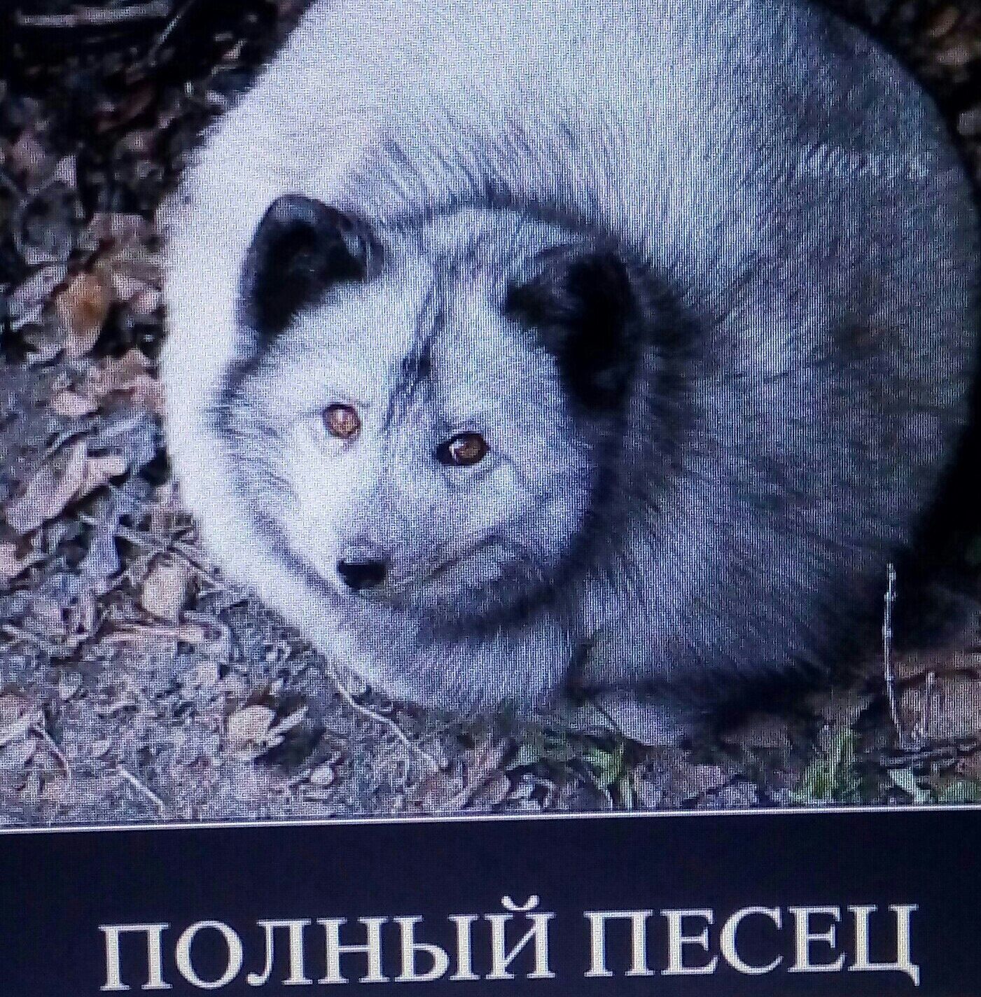 полный ПЕСЕЦ