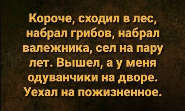 Короче сходил в лес набрал грибов набрал валежиика сел на пару лет Вышел а у меня одуванчики на дворе Уехал на пожизненное