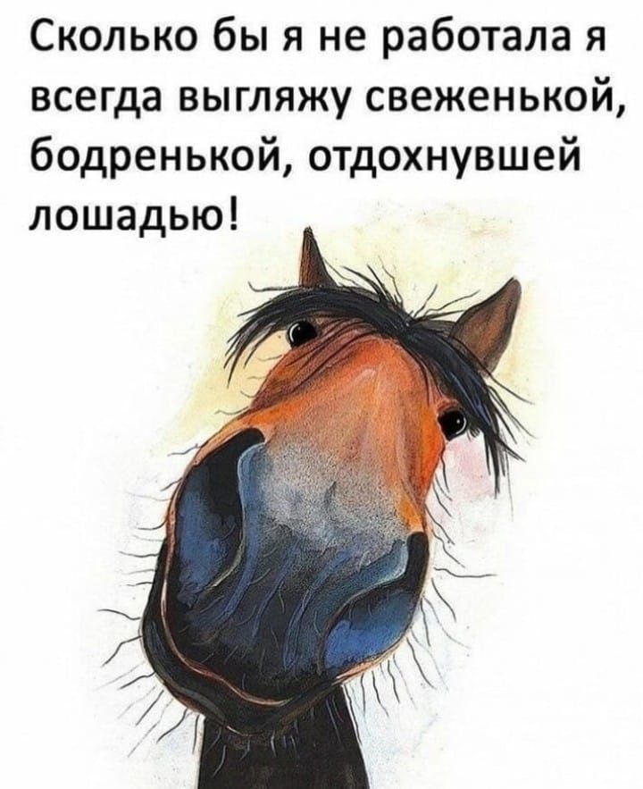 Сколько бы я не работала я всегда выгляжу свеженькой бодренькой отдохнувшей лошадью