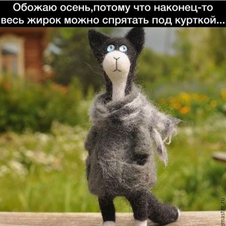 Обожаю осеиьлотому что наконец о весь жирок можно спрятать под курткой