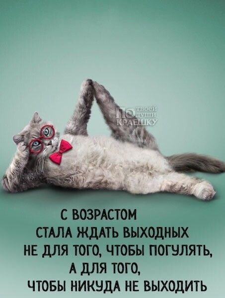 С ВОЗРАСТОМ СТАЛА ЖДАТЬ ВЫХОДНЫХ НЕ дЛЯ ТОГО ЧТОБЫ ПОШЛЯТЬ А дЛЯ ТОГО ЧТОБЫ НИКНДА НЕ ВЫХОДИТЬ