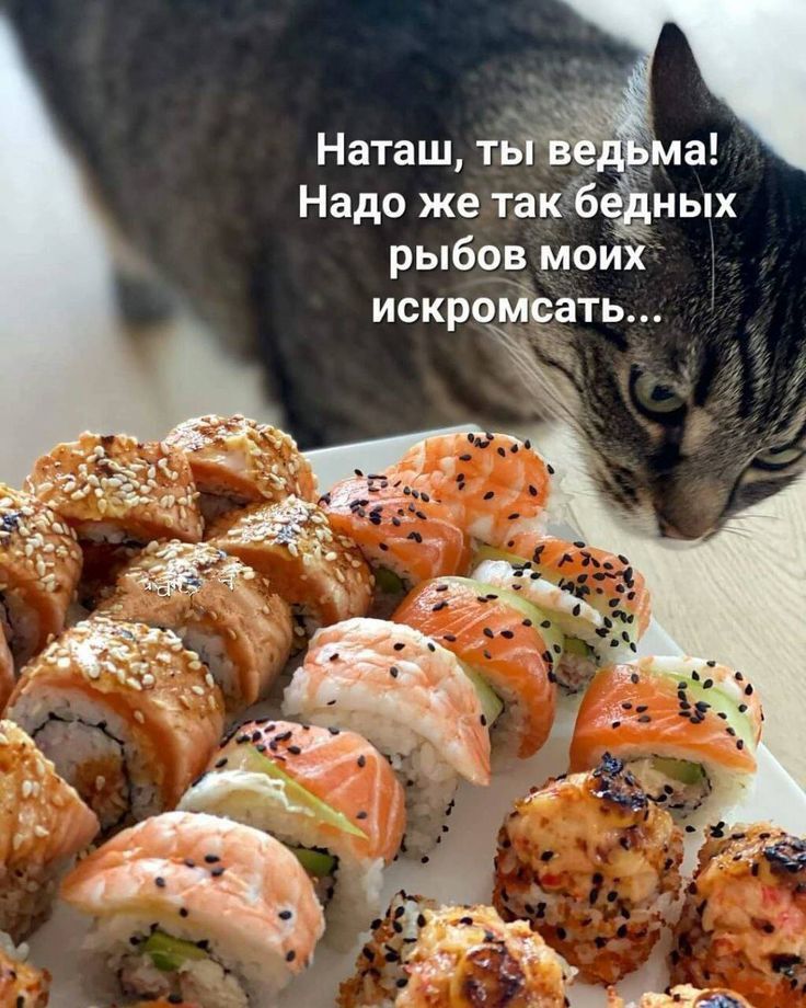 рыбо_в_ моих искройрать