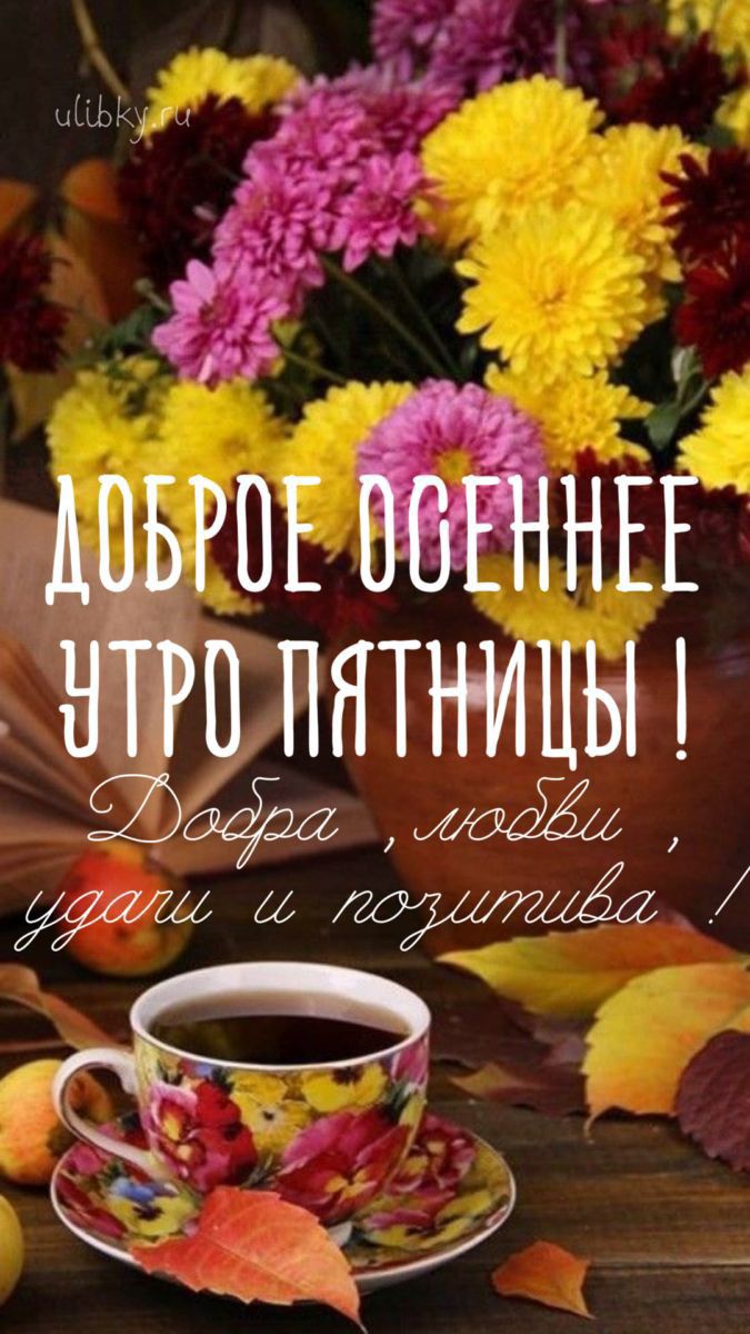 _ Е _ ППНТНИЦЫ а Ч г А згтнЕЁ