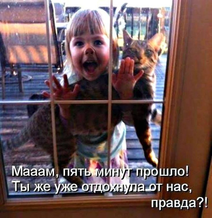 правда