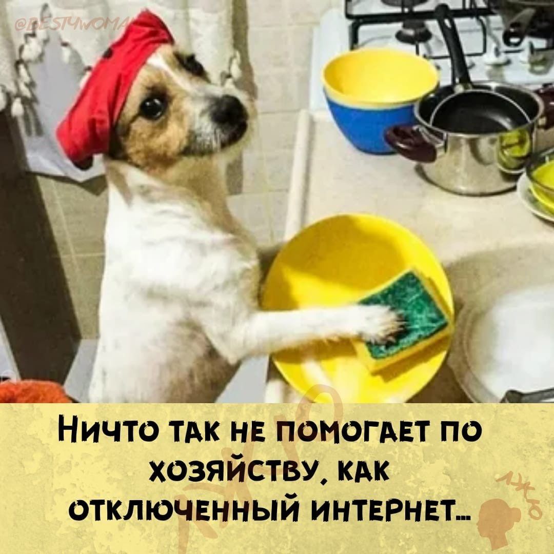 НИЧТО ТАК НЕ ПОМОГАЕТ ПО хозяйству кАк отключенный интврип
