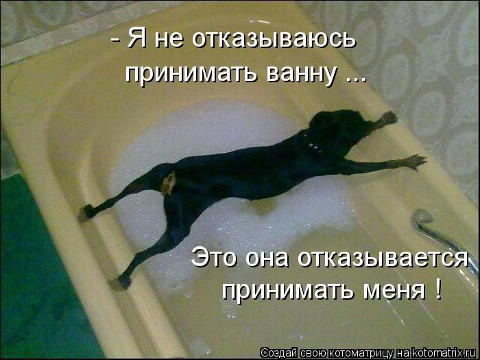 Я не шпаг ызаш ПрИгШн ГЬ Это ина гл шы принимать таня