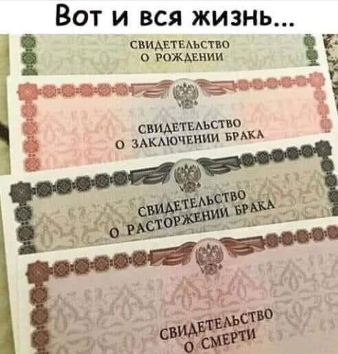 Вот и вся жизнь свиАЕтЕм ство 1 РОЖАЕНИИ __ ч свИАтАЪСТ О ЗАКМОЧЕНИИ БРАКА